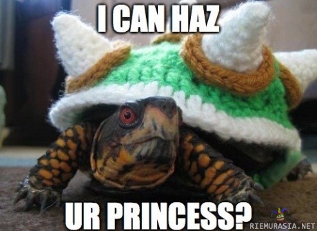 I can haz ur princess?