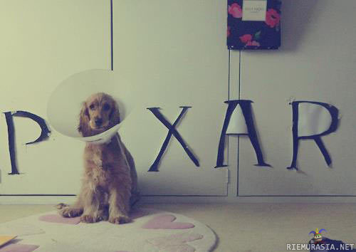 Pixar-koira
