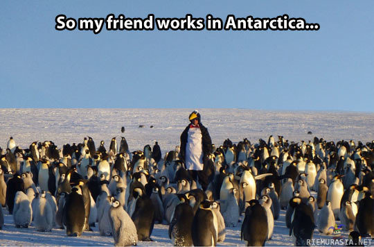 Töissä Etelämantereella