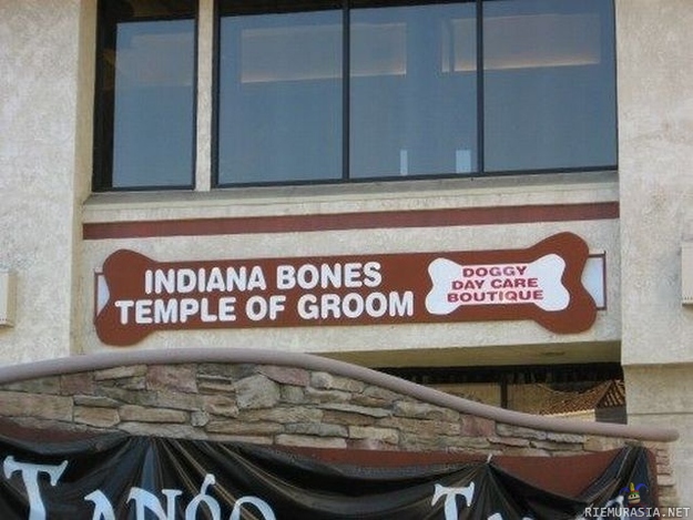 Indiana Bones - Temple of Groom