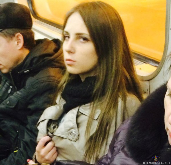 Nainen vilauttaa kissiä metrossa - Show me your kitties.