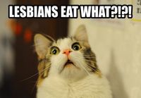 Lesbians eat what?