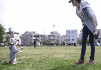 Koiralle pallo