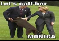 Clintonien koira