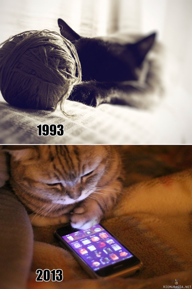 Kissat ennen ja nyt