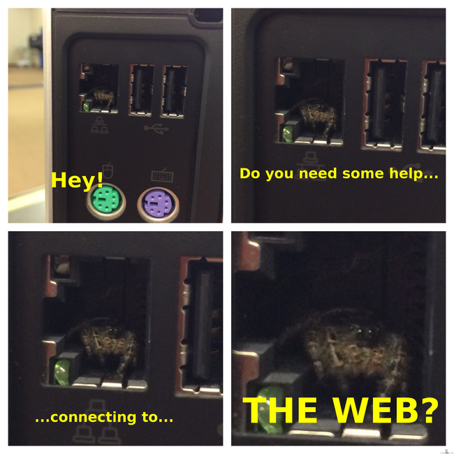 Spider-bro auttaa yhdistämään verkkoon