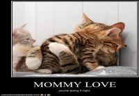 Mommy love