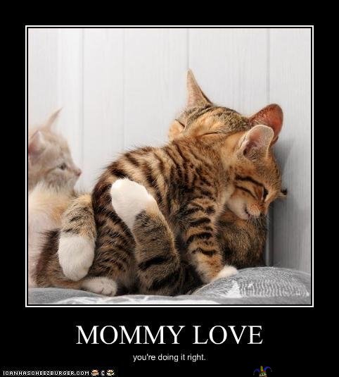 Mommy love