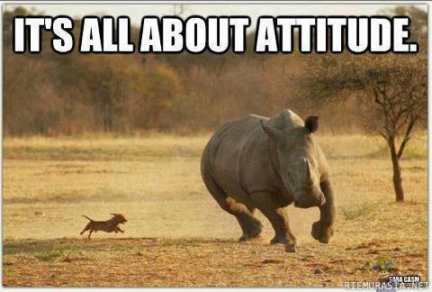 Attitude