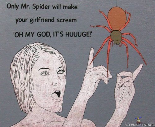 Mr. Spider - makes your girlfriend scream