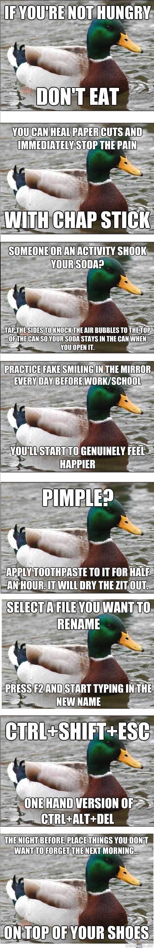 Advice duck - Hyviä neuvoja sorsalta
