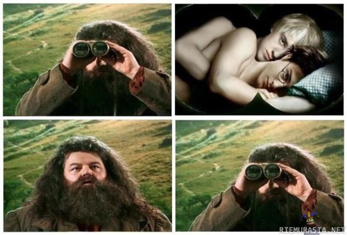 Hagrid tiirailee