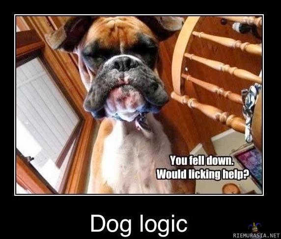 Dog logic