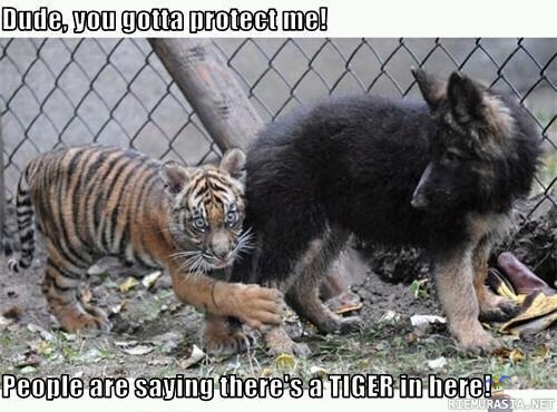Dude, you gotta protect me..