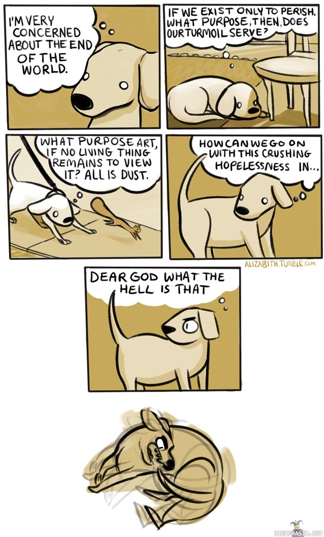 Koiran mietteet