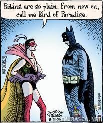 Bird of paradise - Robinin uusi hahmo
