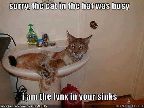 Lynx in a sink