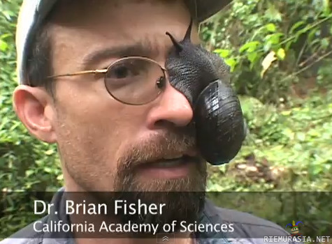 Dr. Brian Fisher - joku ötökkä silmälaseissa