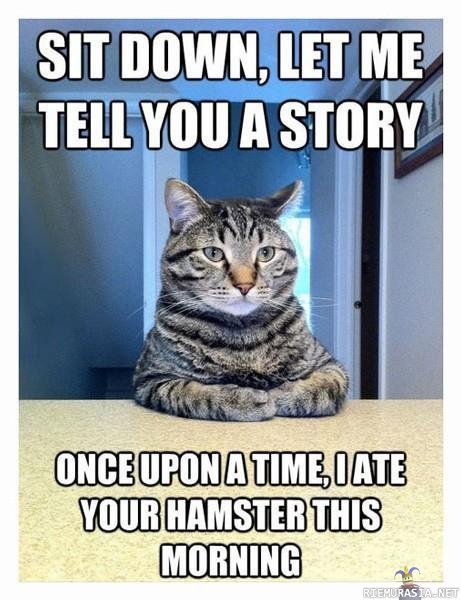 Kissa kertoo tarinan