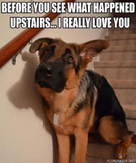 Before you go upstairs..