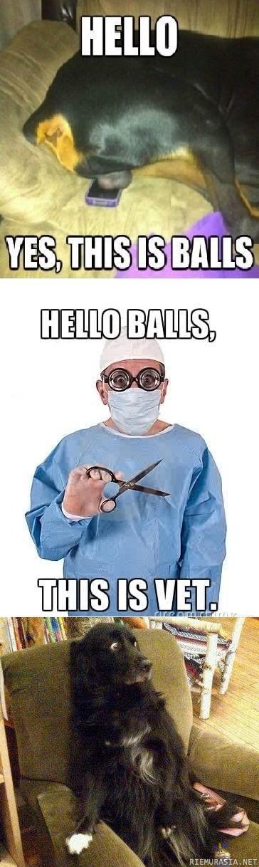 Hello balls!