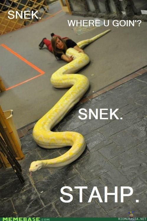 SNEK!