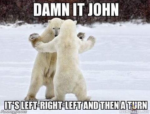 Damn it John! - jääkarhut opettelee tanssimaan