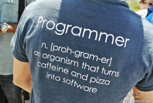 Programmer