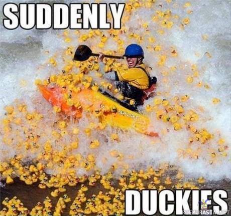 suddenly - duckies