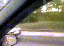 Sillävälin Venäjällä - Samarakuski pelleilee autonsa päällä vauhdissa