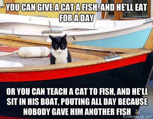 Give cat a fish