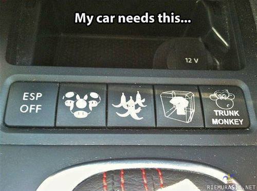 My car needs this