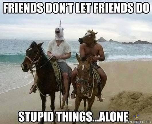 Friends - don´t let friends do stupid things alone