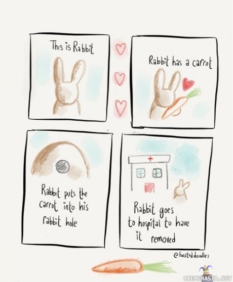 Rabbit has a carrot