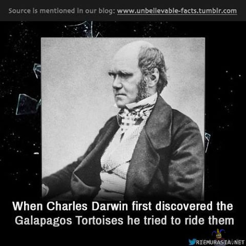 Charles Darwin nähdessään galapagoksen kilpikonnan ensimmäistä kertaa
