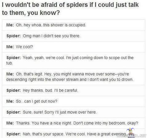 If spiders could talk