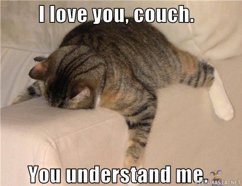 I love you couch