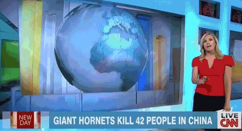 Kiinassa tapahtuu - jättiläisherhiläiset tappoi ihmisiä Brasiliassa, eiku hetkinen?