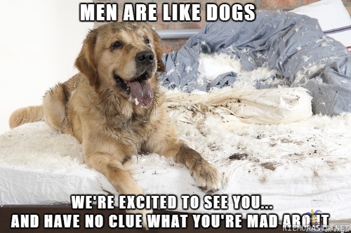 Men are like dogs