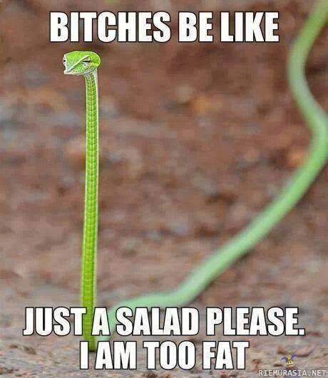 Just salad please