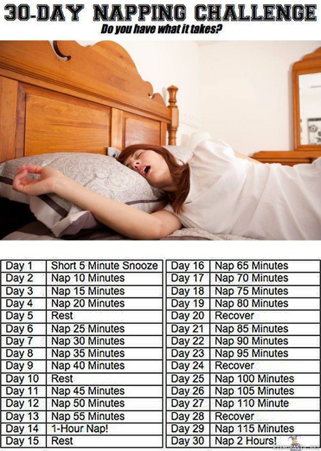 30-day napping challenge - treeniohjelma uudellevuodelle