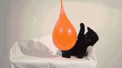 Kissa ja vesi-ilmapallo - Hidastuksesta ilmenee hetki milloin paniikki iskee