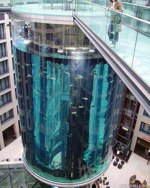 Akvaario hissit - erilaisempia näkymiä hissistä kuin mihin on totuttu, tämä sijaitsee Berliinissä