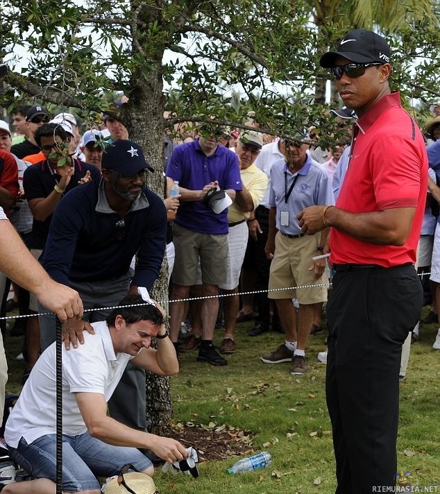 Tiger Woodsia ei kiinnosta - Pallo osui katsojaa päähän