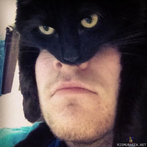 Catman - I am the night!