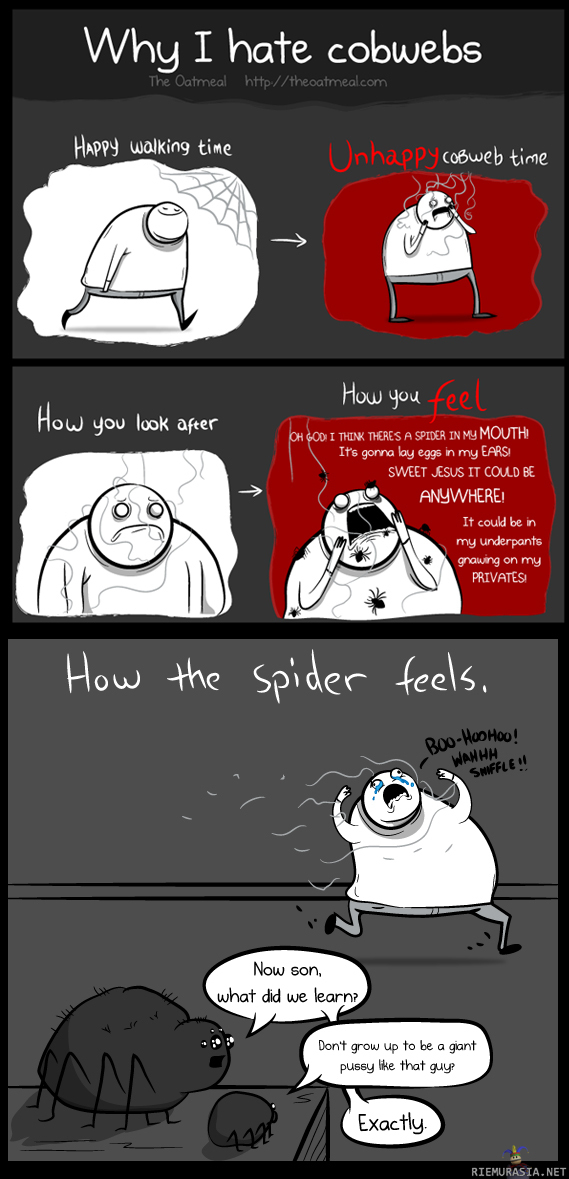 Hämähäkinverkkoa päin käveleminen