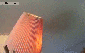 Rukoilijasirkka  - Kätevä kärpäslätkä
