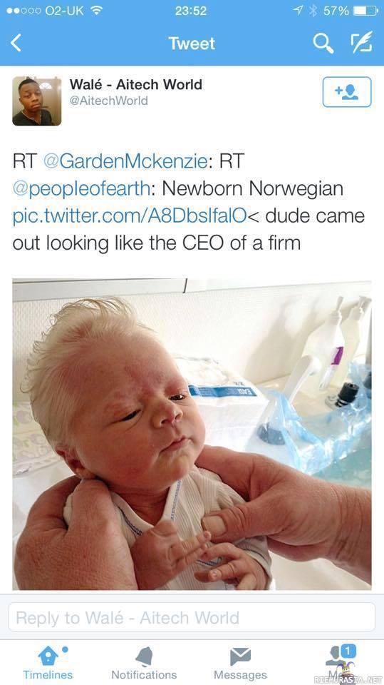 Norjalaislapsi - Näyttää toimitusjohtajalta jo syntyessään
