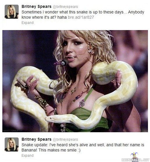 Britney ja käärme - Britney ihmetteli mitä showkäärmeelle kuuluu nykyään