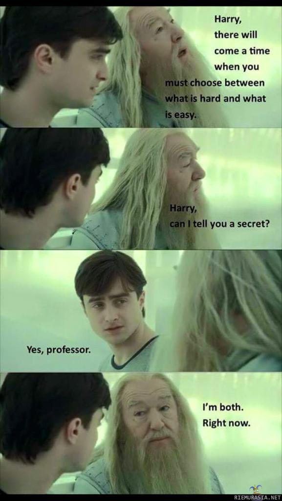 Harry Potter ja Albuksen sauva